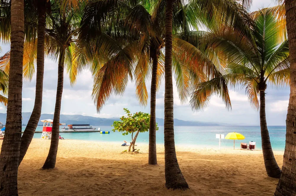 Montego Bay Warnings and Dangers